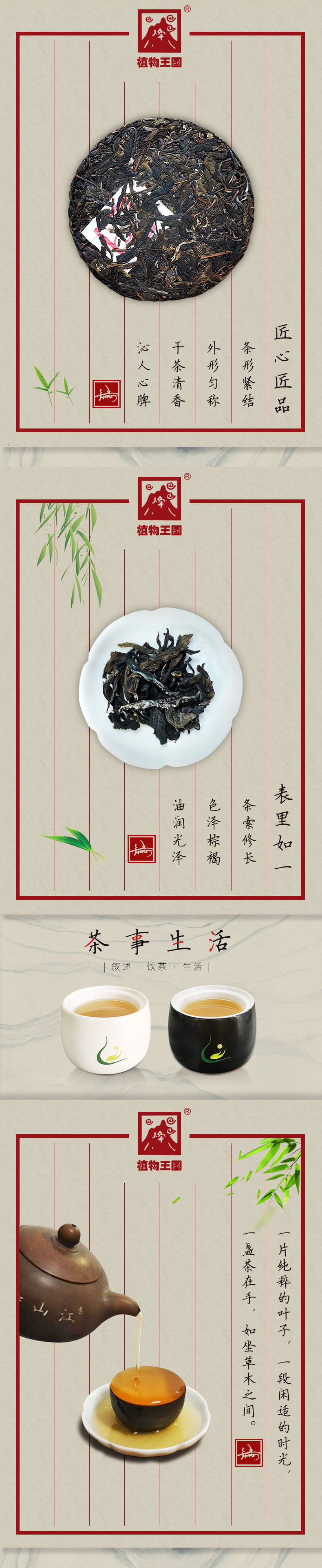 黑人山普洱茶(图2)